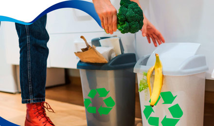 Cómo reducir los residuos domésticos