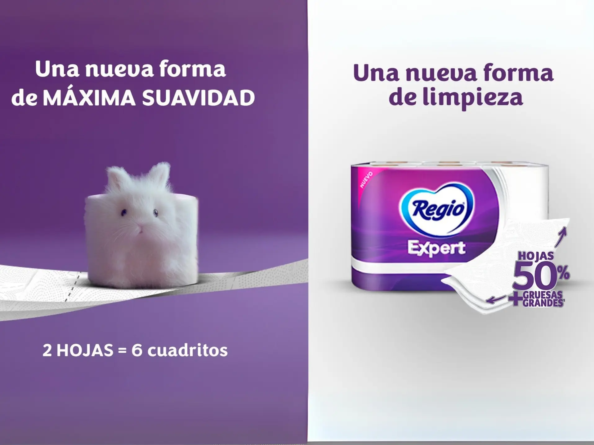 Regio® Expert